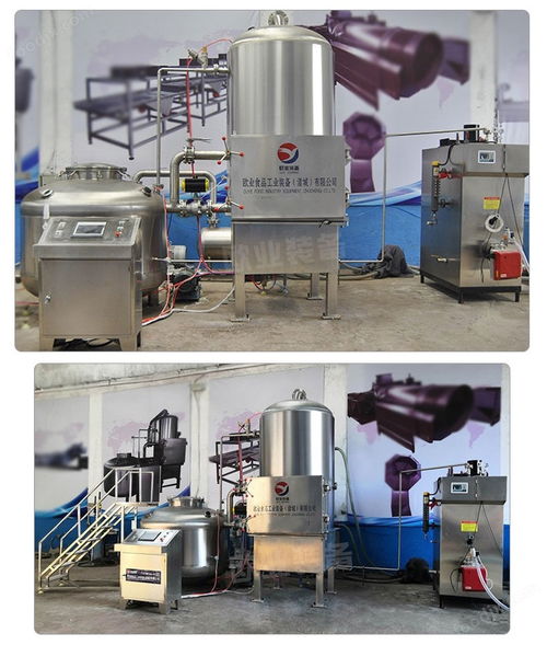 獼猴桃真空油炸機(jī)