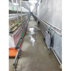 供應育雛專用水暖風機 雞舍加溫設備水暖爐配套暖風機